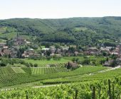 Andlau