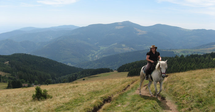 randonnee cheval haut rhin